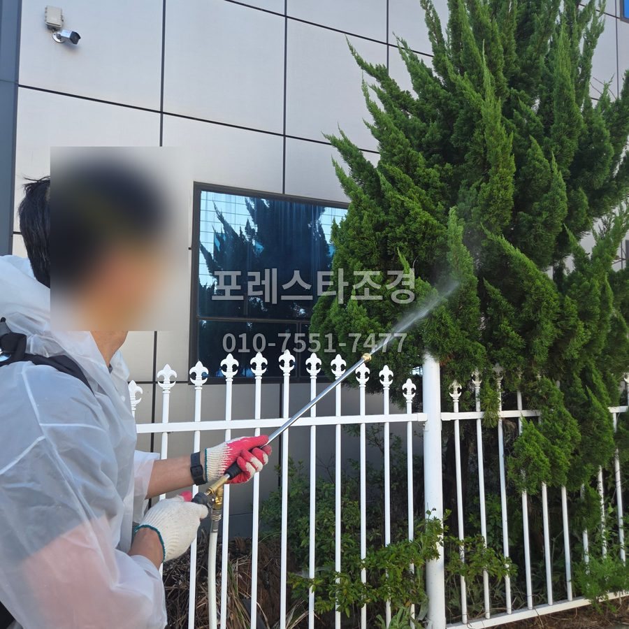 용인 공장 향나무 송충이 방역