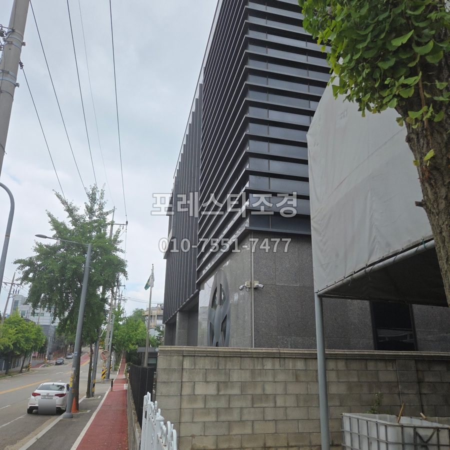 용인 벌목 후 정리된 공장 앞 길