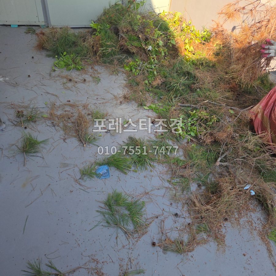 안성 떨어진 잎 청소