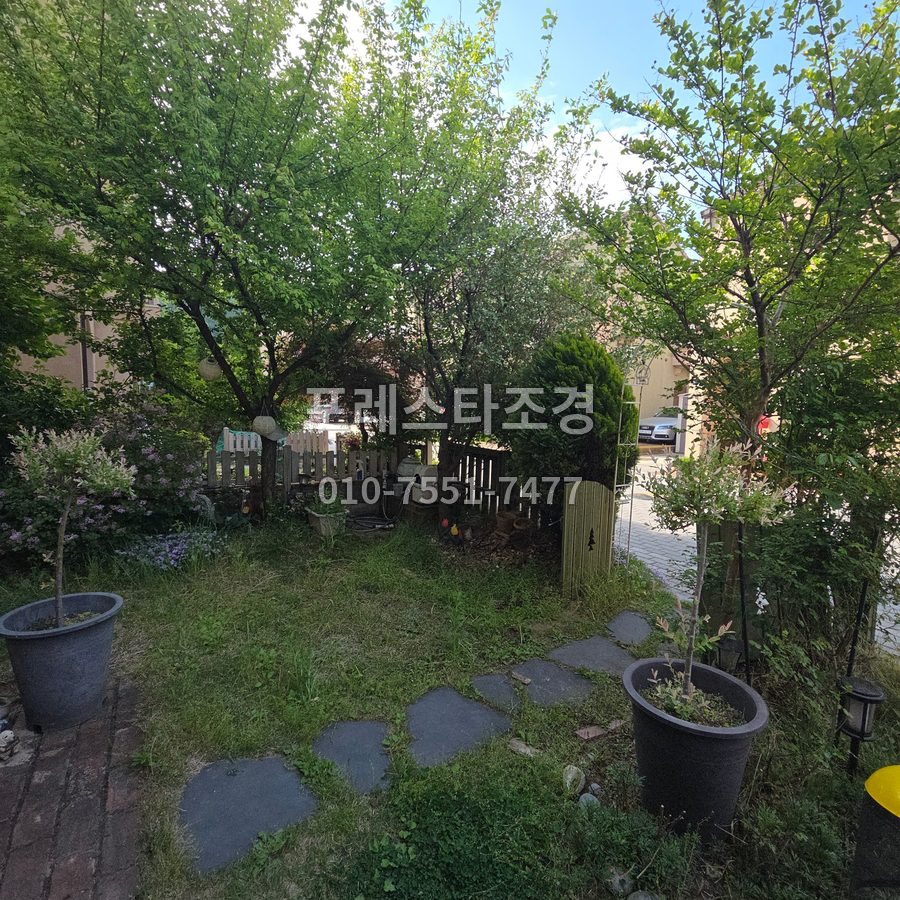 화성 가지치기 후 주택 정원