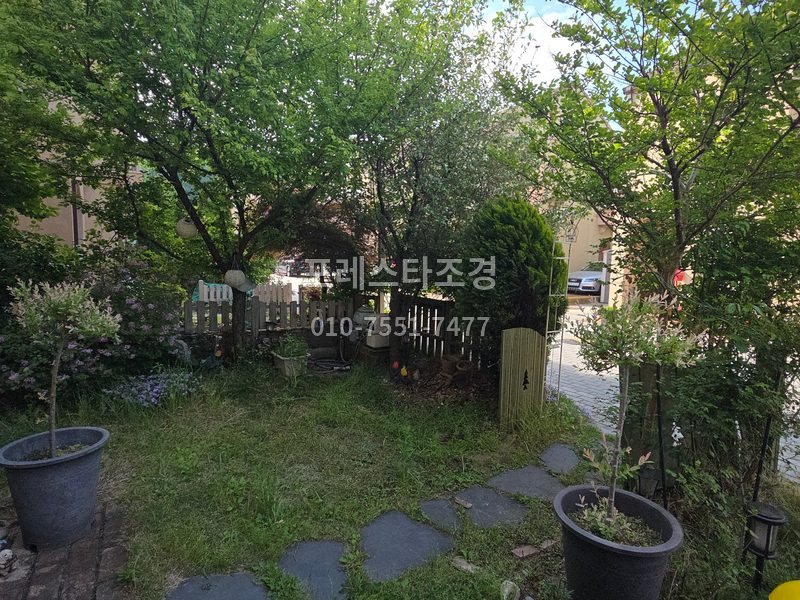 화성 주택 마당 나무 가지치기