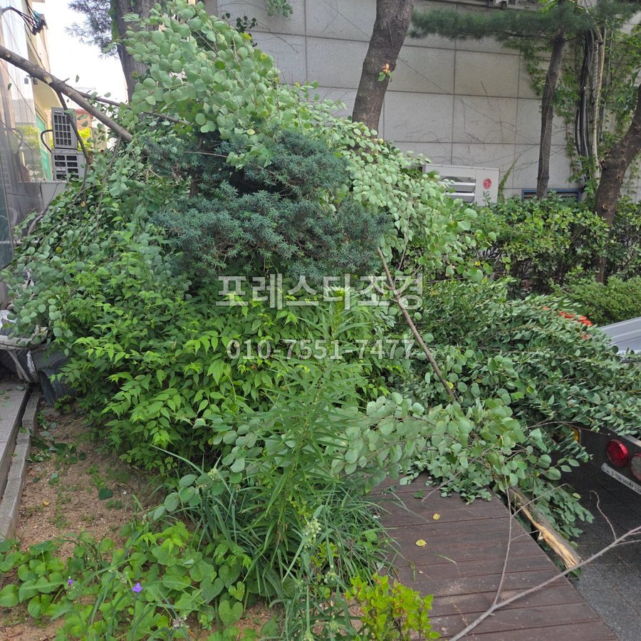 서울 잘라낸 가지 정리