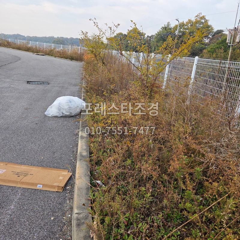 공장부지 예초 작업 전