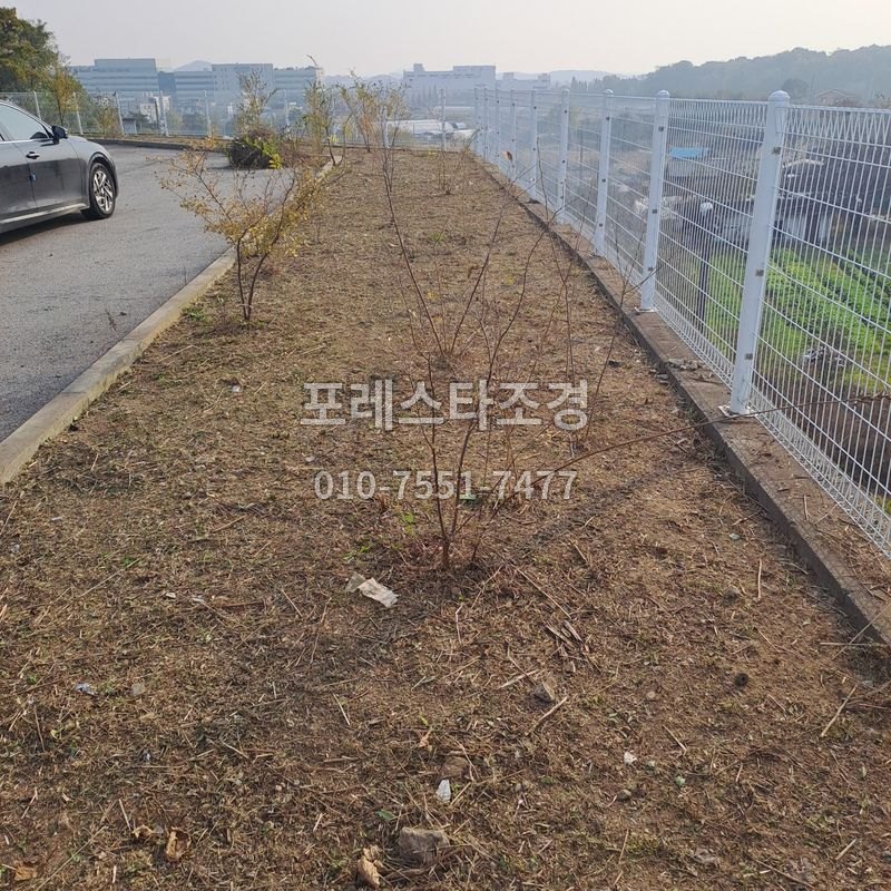 공장부지 예초 작업 후