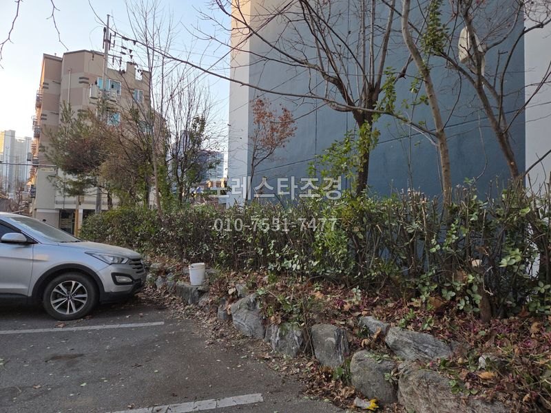 평택 주차장 옆 화단 나무전지 후