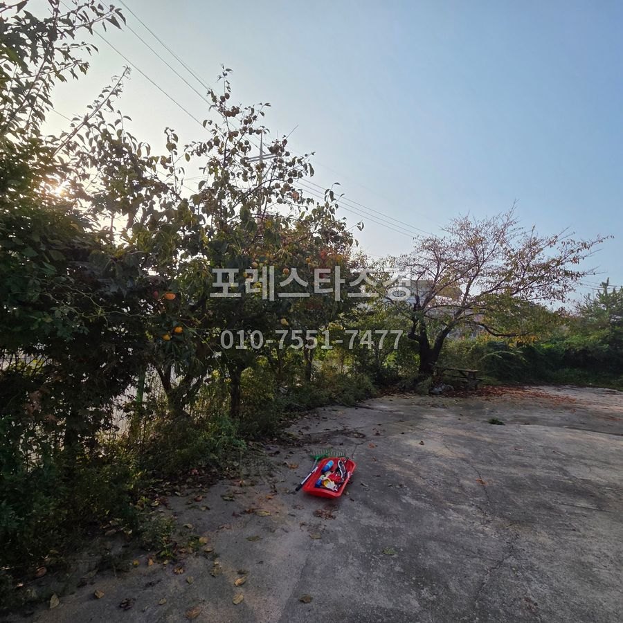 작업 전 감나무와 덩굴이 우거진 공장 마당