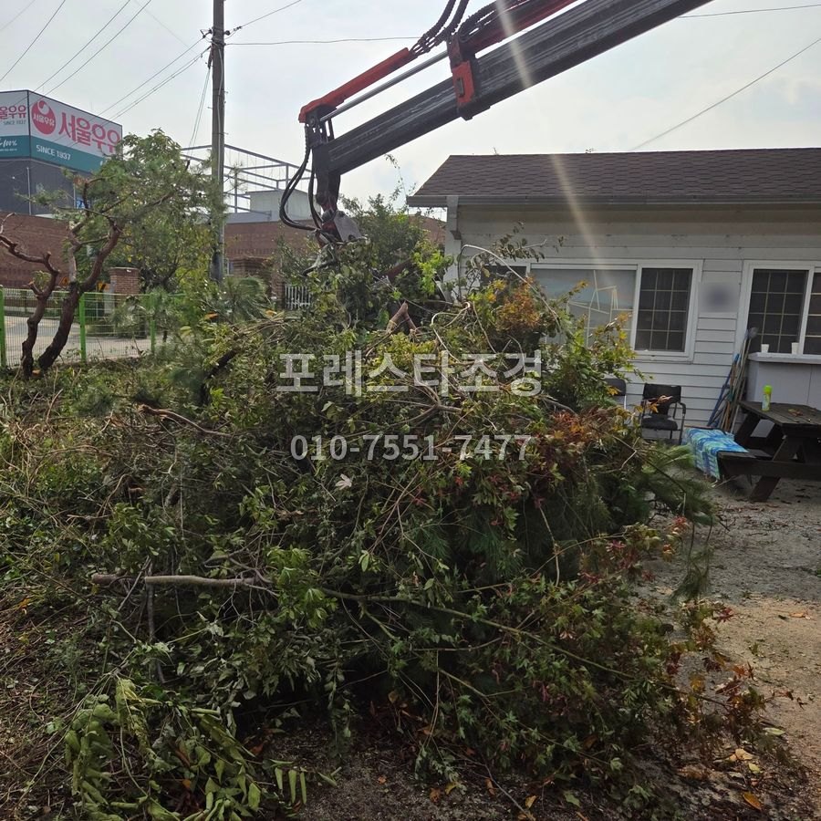 남은 가지 수거