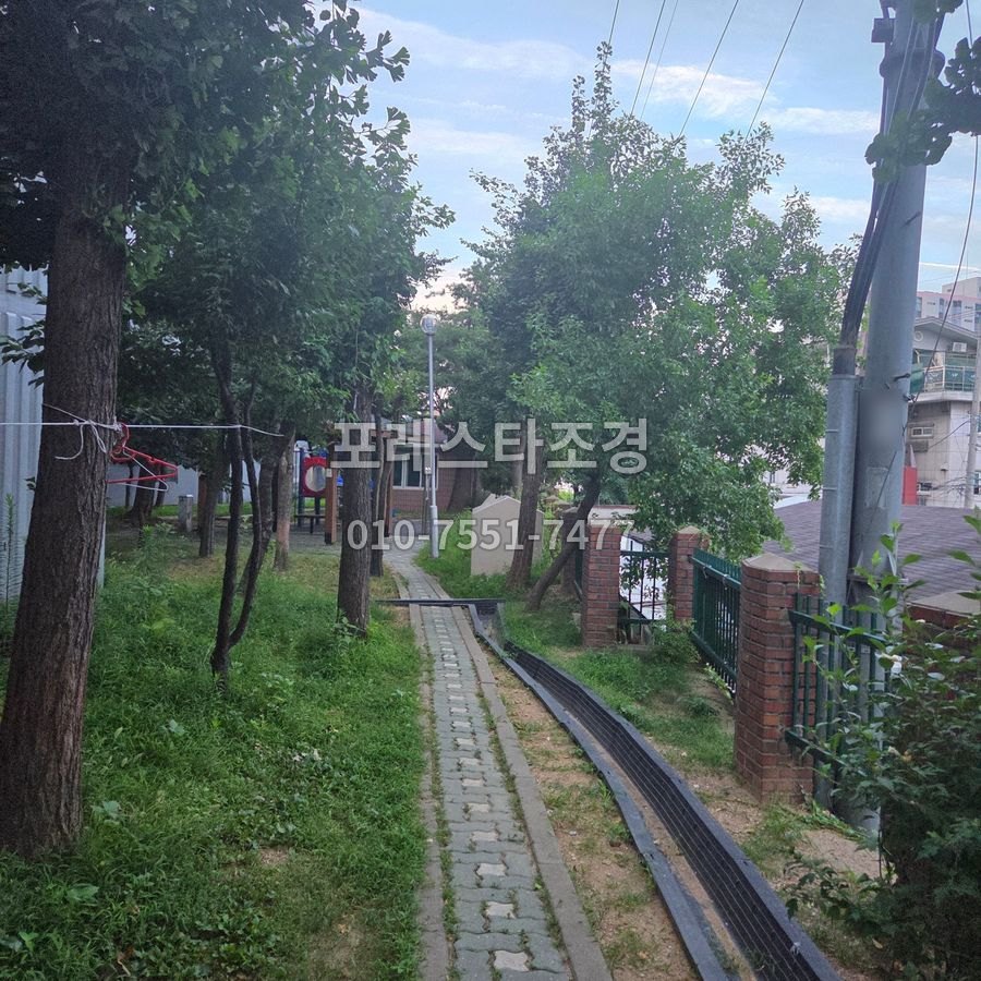 화성 작업 전 길가로 뻗은 나무