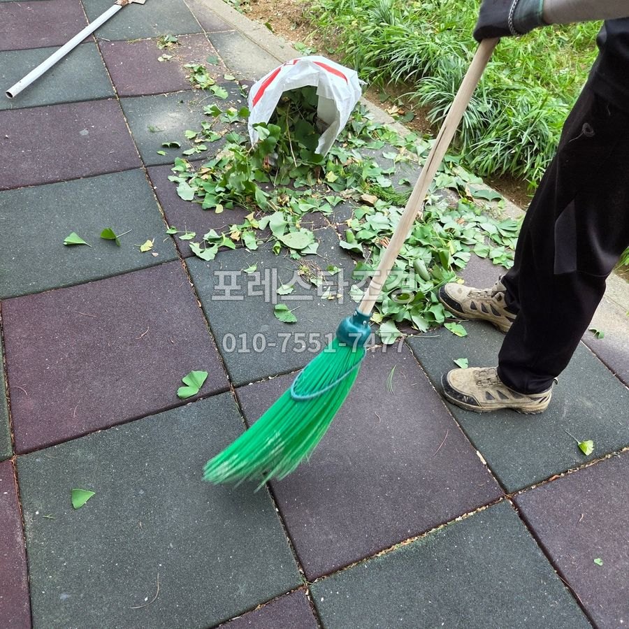 화성 떨어진 잎과 잔가지 청소