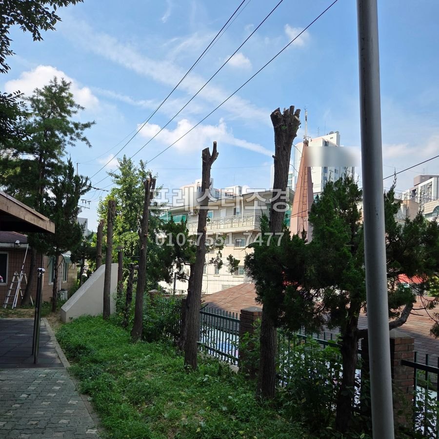 화성 전지를 마친 담장 옆 나무