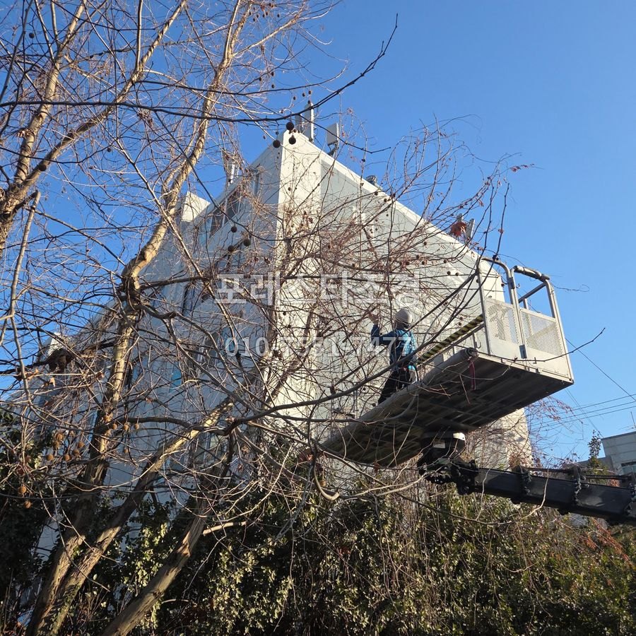 높은 가지 전지 작업