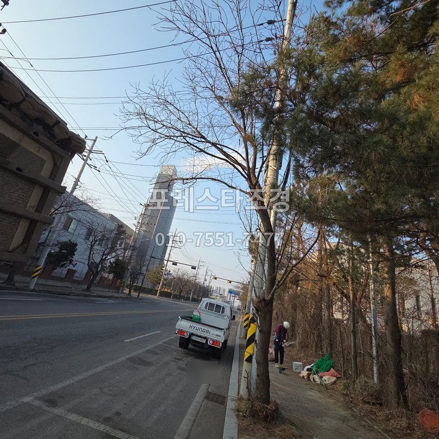 작업 전 공단 도로변 나무
