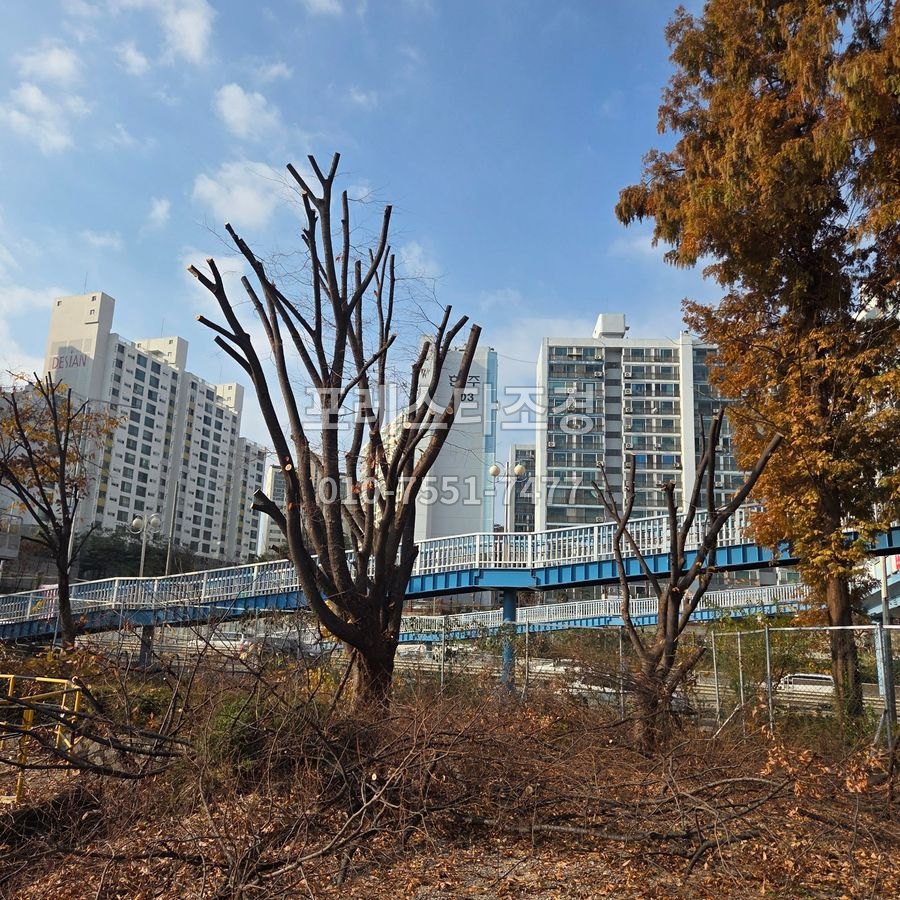 전지를 마친 나무