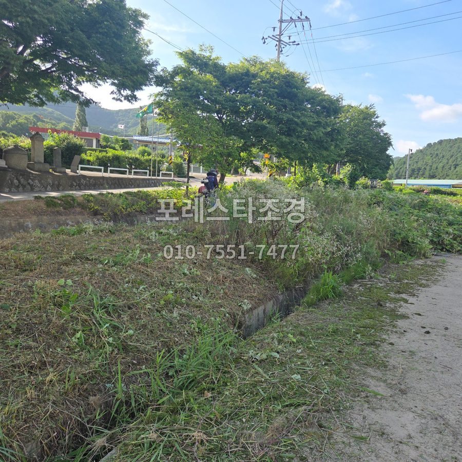 안산 넝쿨 제거 예초 작업