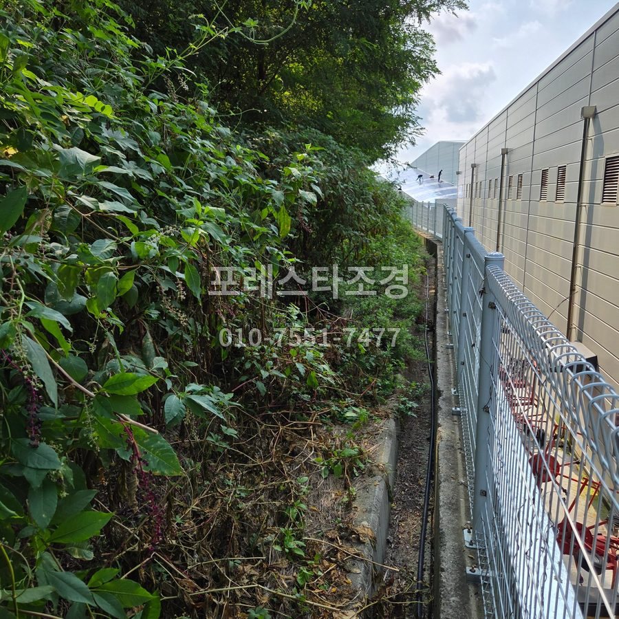 안성 작업 전 공장 뒤 비탈면