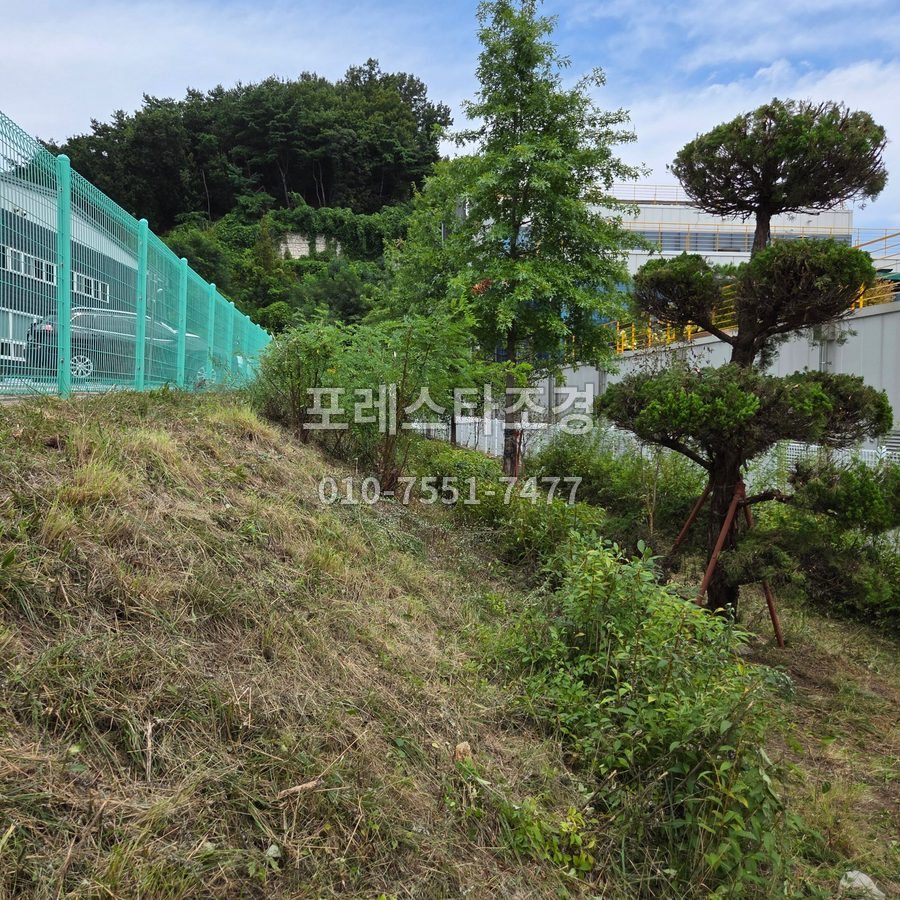 안성 예초 마친 공장 법면
