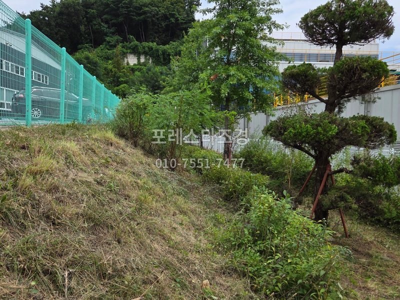 안성 공장 법면 예초